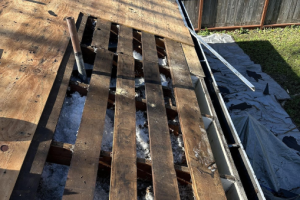 dry rot on roof